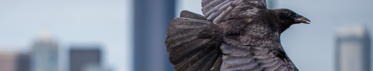 Alex Garland Photography